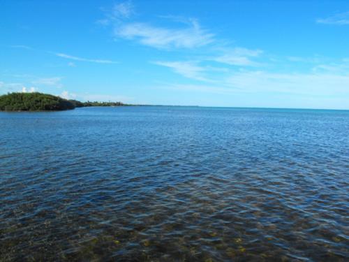 Costa De Cocos
