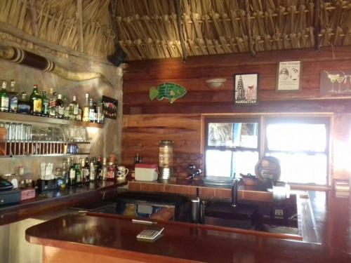 Costa De Cocos