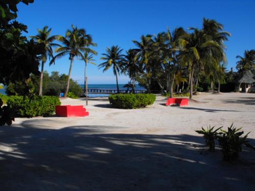 Costa De Cocos