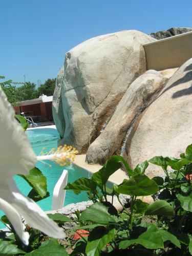 Hotel Paradise Lagoon