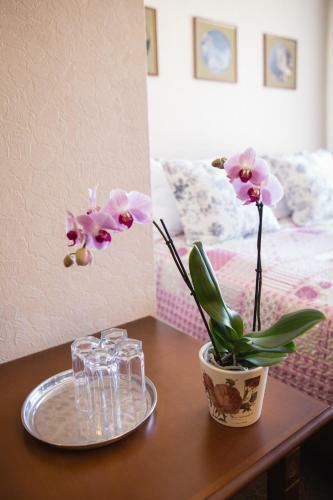 Hostal Guest House Karle