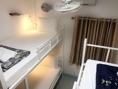 Downtown Backpackers Hostel 2