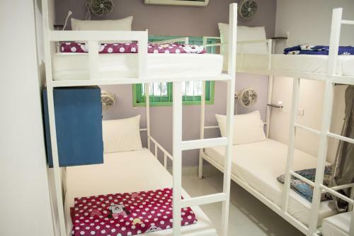 Downtown Backpackers Hostel 2