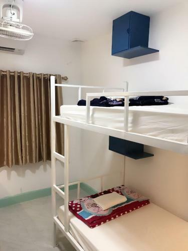 Downtown Backpackers Hostel 2