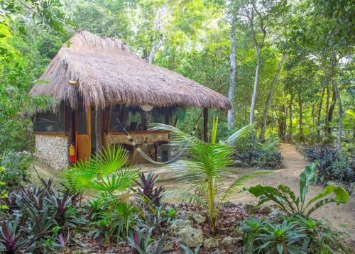 Cavelands In The Jungle