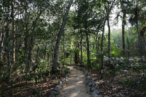 Cavelands In The Jungle