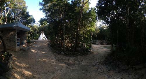 Cavelands In The Jungle