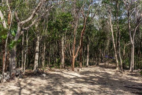 Cavelands In The Jungle