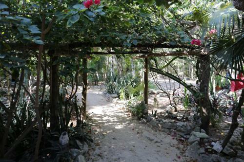 Cavelands In The Jungle