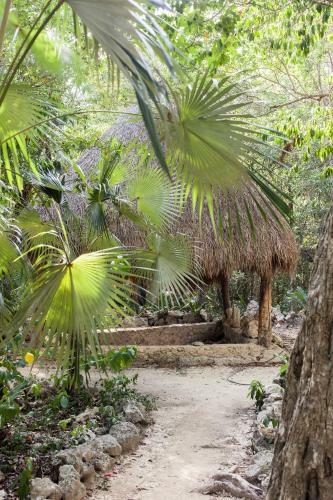 Cavelands In The Jungle