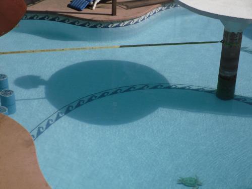 Callihostal Tepoztl�n