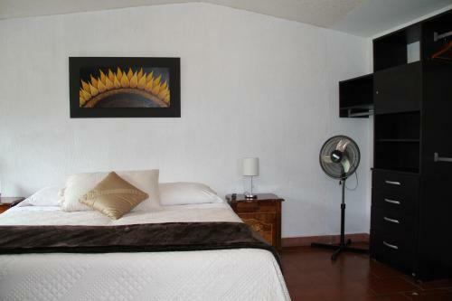 Hotel Quinta Del Sol
