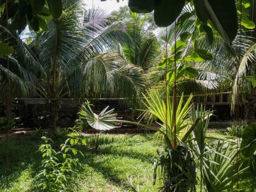 Bed & Breakfast Sala Thongyon