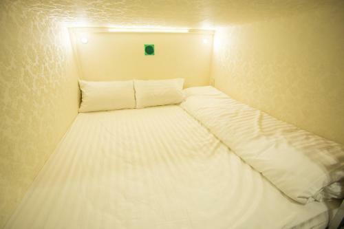 Green Box Capsule Hostel & Hotel
