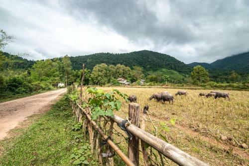 Muang La Lodge