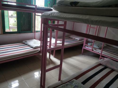 Bed & Breakfast Bo Lo Backpacker Resort