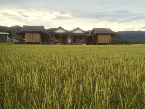 Hostal Thongdam Guesthouse