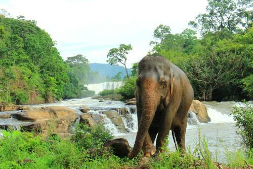 Tadlo Lodge
