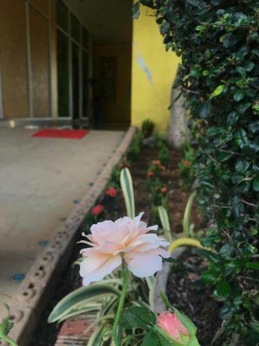 The M Bokeo Hotel