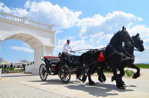 Hotel Queen Vali Palace