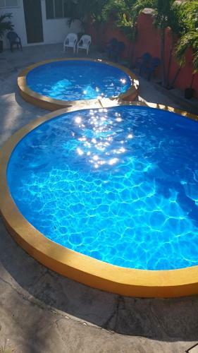 Bungalows Delfin