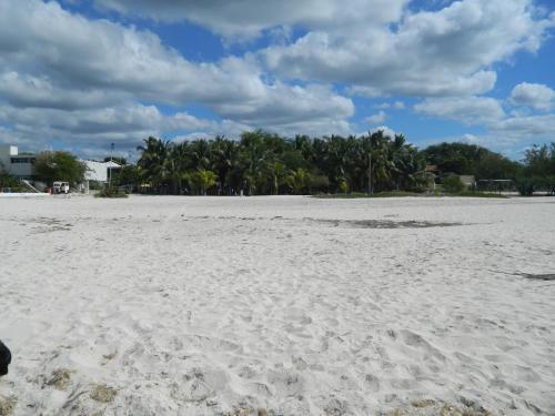 Hostal Caba�as Camping Ria Celestun