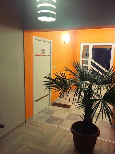 Apartments ?mimoza? No-2