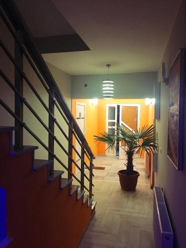 Apartments ?mimoza? No-2