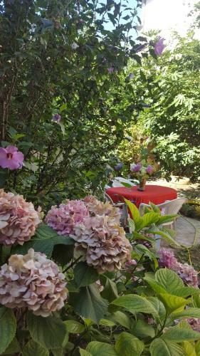 Hostal Frida Guest House