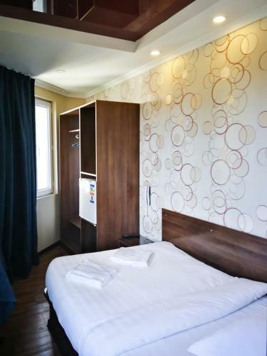 Hotel Salut