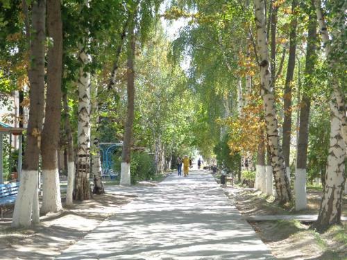 Hostal Guest House At Do Altyn - Kum