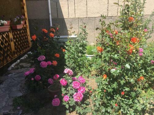 Hostal Guest House Baktygul