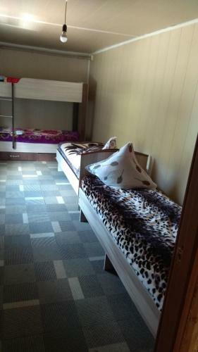 Hostal Ala-kul Guesthouse In Altyn-arashan