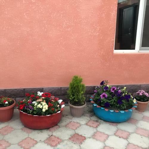 Hostal Cosy Guesthouse