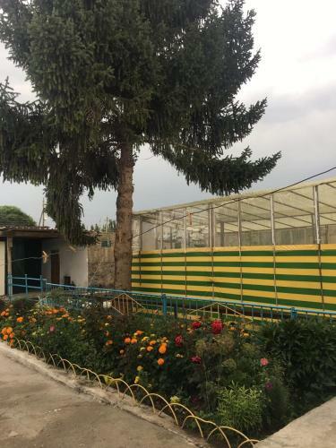 Hostal Zulya