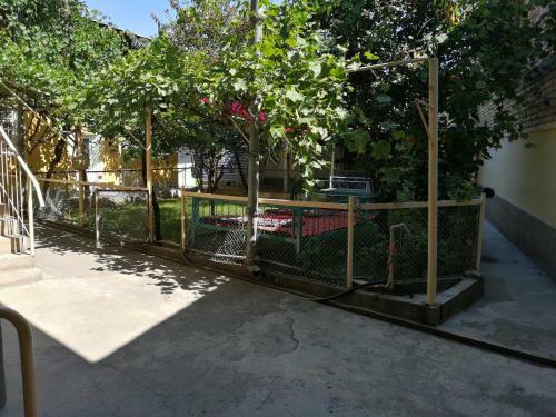 Hostel Oshbackpackers
