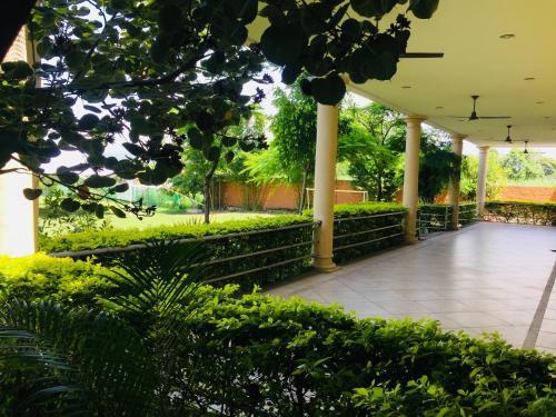 Hotel Cocoyoc