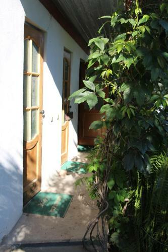 Hostal Tamga Bee House