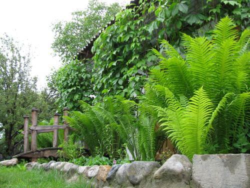 Hostal Tamga Bee House