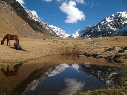 Hostal Tamga Bee House