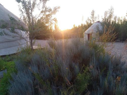 Yurt Camp Tosor