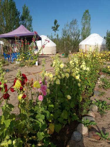 Yurt Camp Tosor