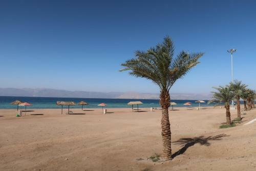 Albergue Bedouin Moon Village - Aqaba