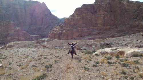 Petra Bedouin Bed And Breakfast