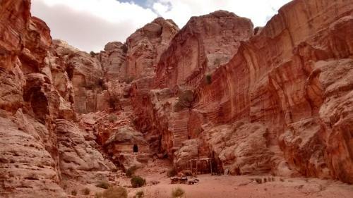 Petra Bedouin Bed And Breakfast