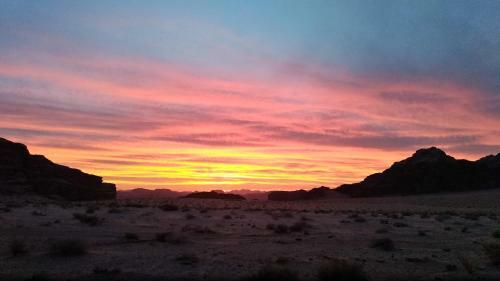 Petra Bedouin Bed And Breakfast