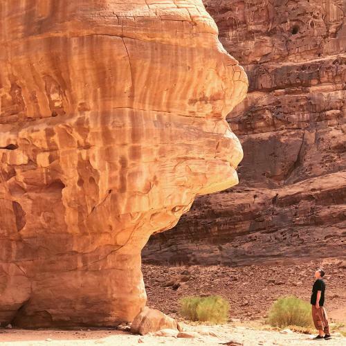 Desert Wonders Camp