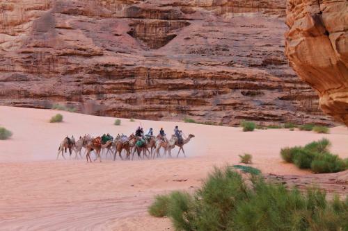 Desert Wonders Camp