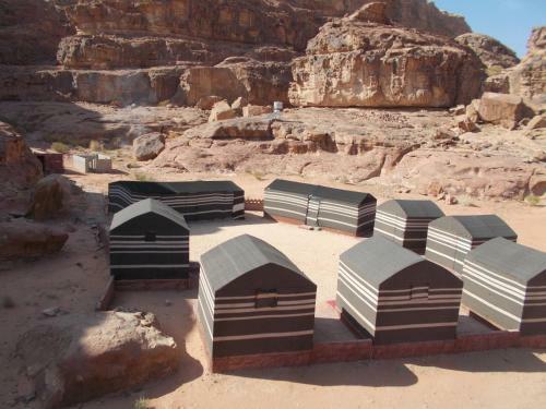 Wadi Rum Green Desert