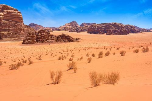 Wadi Rum Green Desert